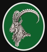 Gilgit−Baltistan Scouts logo
