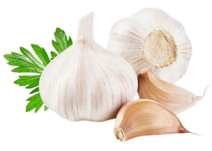 List of all Seasonal Vegetables in Pakistan - The Land Of Pure People ...