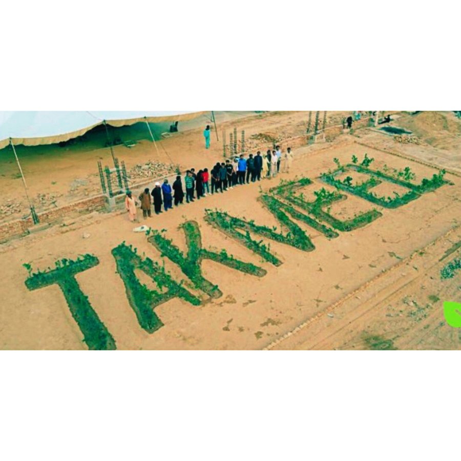 Largest Sapling Word takmeel