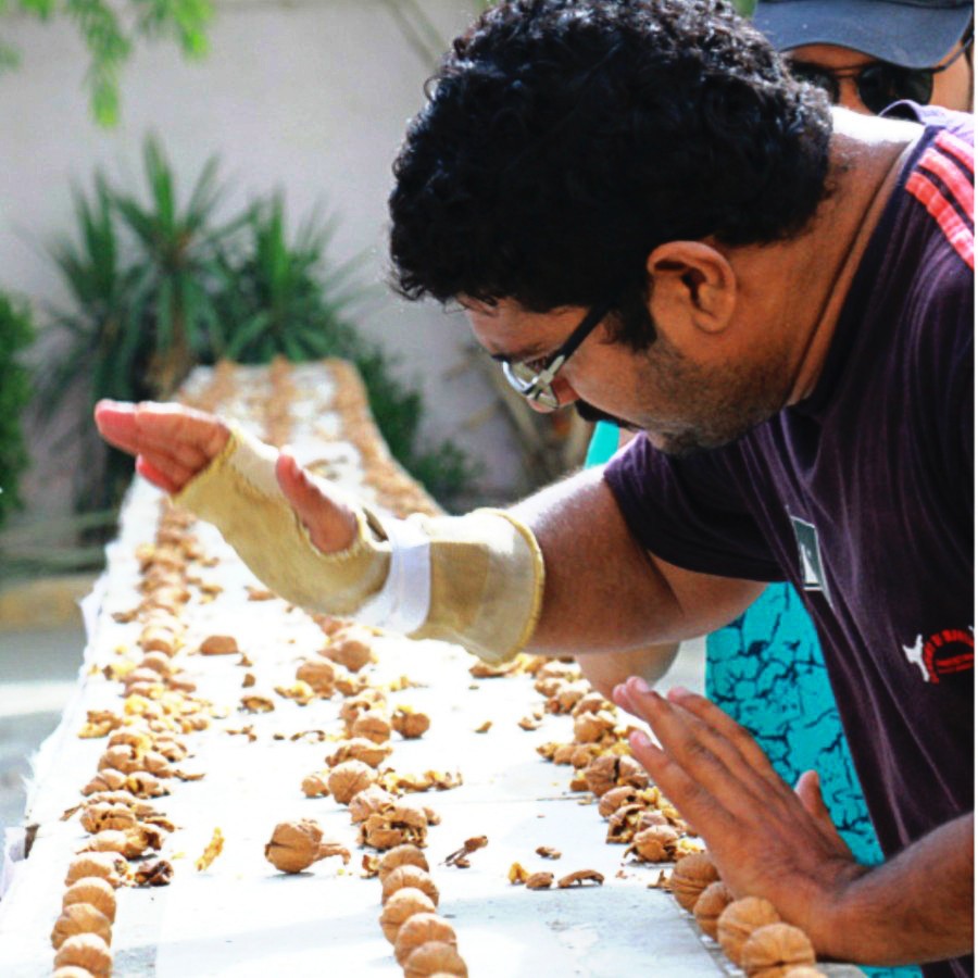 Most Walnuts Cracked by Hand in One Minute